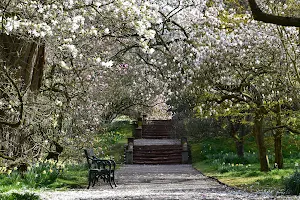 Hodnet Hall Gardens image