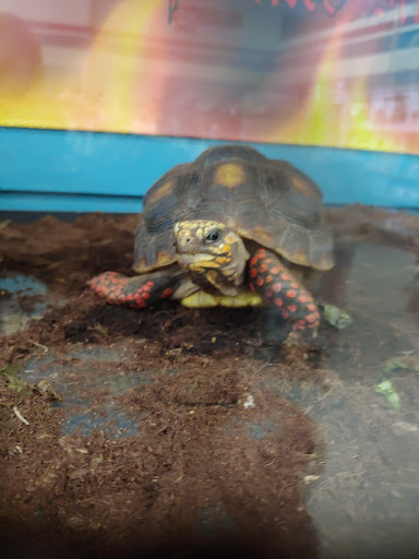 Pet Store «Critters & Co Pet Center», reviews and photos, 11042 WA-525, Clinton, WA 98236, USA