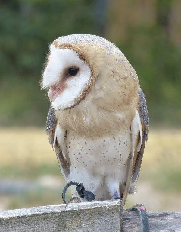 Photo n° 10 de l'avis de Nathalie.. fait le 17/08/2022 à 20:25