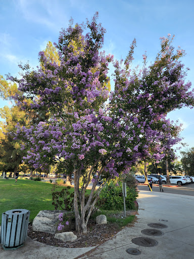 Golf Course «Hansen Dam Golf Course», reviews and photos, 10400 Glenoaks Blvd, Pacoima, CA 91331, USA