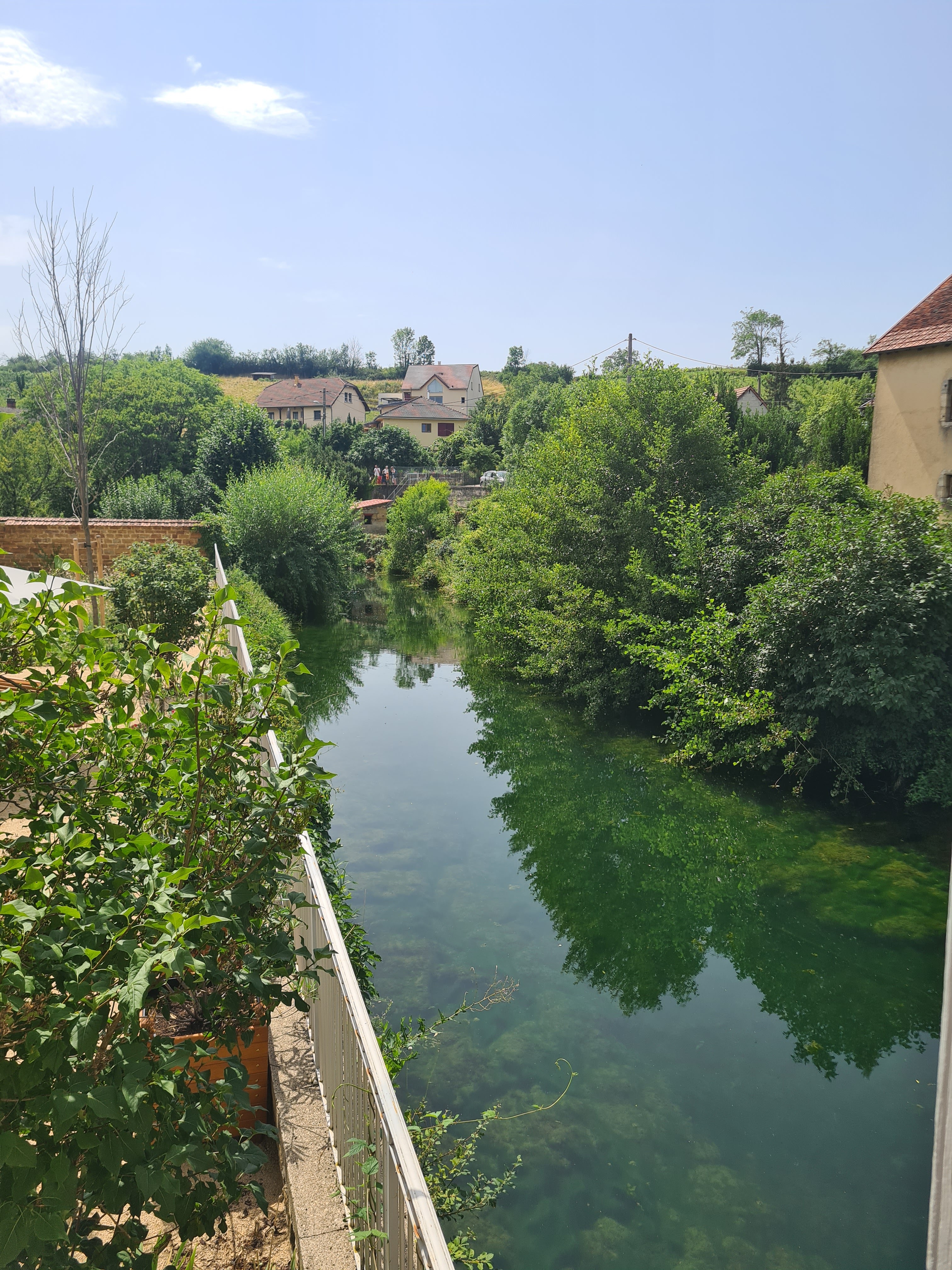 Photo n° 2 de l'avis de Benoît.e fait le 18/07/2023 à 17:35