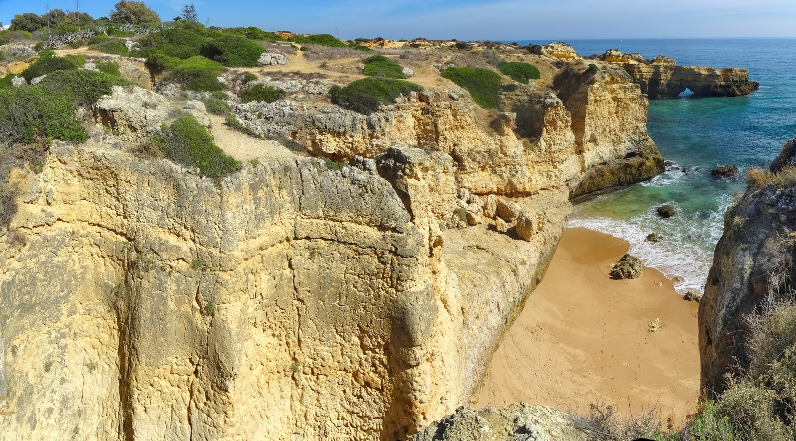 Photo de Ninho de Andorinha zone sauvage