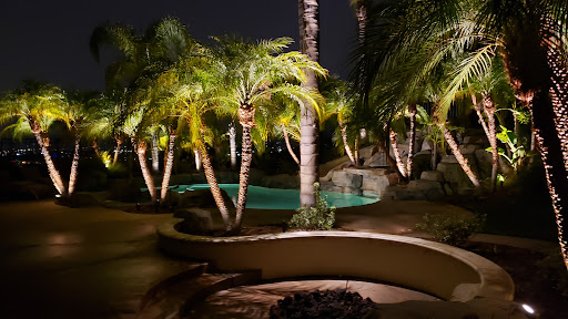 Orange County Night Lights Inc. image