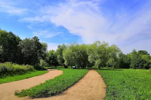 Central city landscape park "Tmaka" image