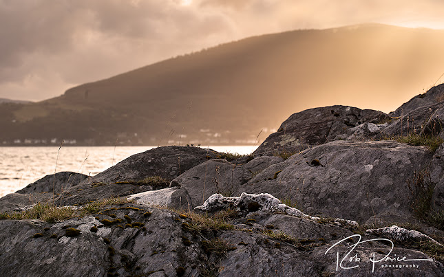 Opinii despre Rob Price Photography în Colchester - Photography studio