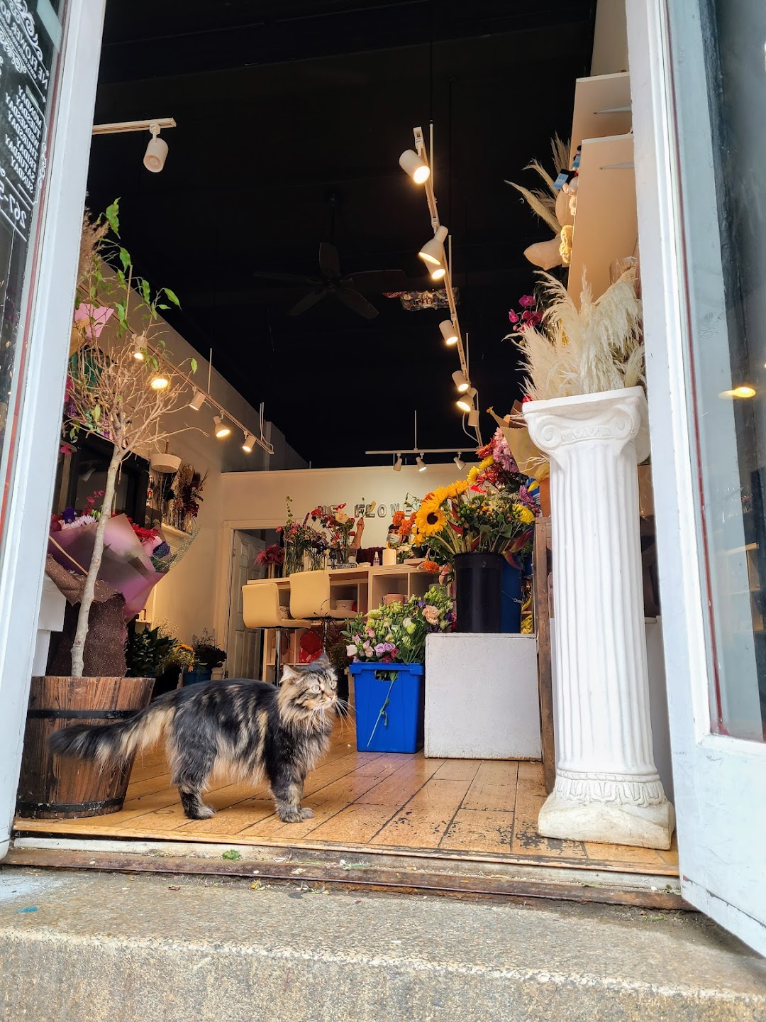 NE Flower Boutique - Old City