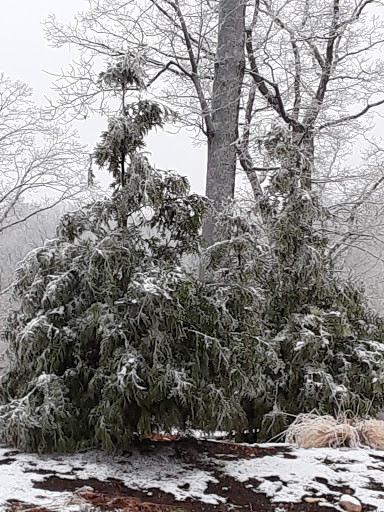 Wedding Venue «Silver Oaks Chateau», reviews and photos, 1168 MO-100, Pacific, MO 63069, USA