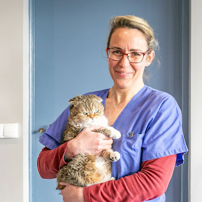 Clinique Vétérinaire Argos à Nanterre