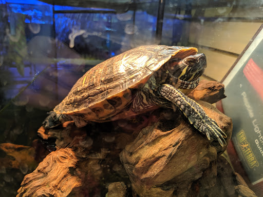 Pet Store «Pet Advantage», reviews and photos, 350 Dorset St # 1, South Burlington, VT 05403, USA