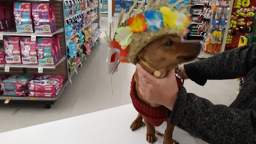 Pet Supply Store «PetSmart», reviews and photos, 10 Traders Way, Salem, MA 01970, USA