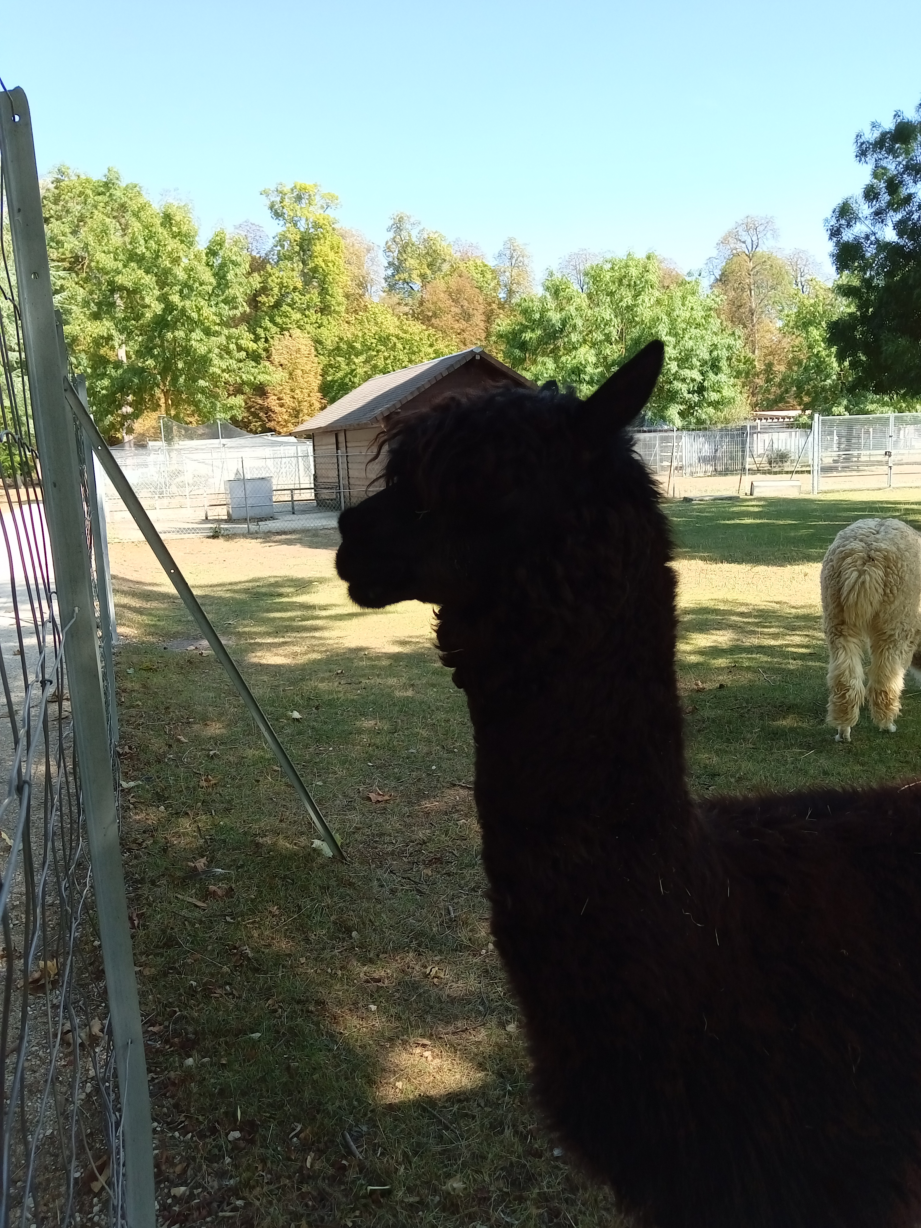 Photo n° 9 de l'avis de Sabrina. fait le 21/09/2020 à 16:35