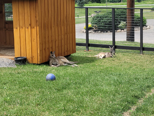 Restaurant «Hidden Valley Animal Adventure», reviews and photos, 2887 Royce Rd, Varysburg, NY 14167, USA