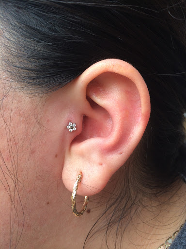 Tattoo Shop «Old Growth Tattoo & Art Emp», reviews and photos, 1806 4th St, Eureka, CA 95501, USA