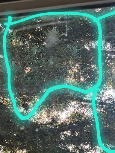 Home Improvement Store «The Home Depot», reviews and photos, 100 Bicentennial Way, Santa Rosa, CA 95403, USA