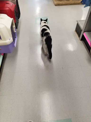 Pet Supply Store «Mad Cat Pet Supplies», reviews and photos, 7820 Mineral Point Rd, Madison, WI 53717, USA