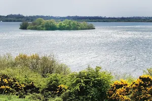 Lough Owel Diving Board image