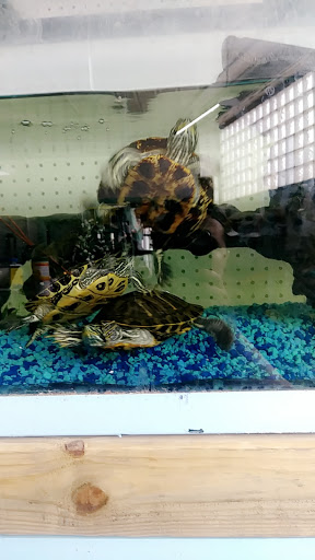 Pet Supply Store «D & D Pet Center», reviews and photos, 8813 Michigan Ave, Detroit, MI 48210, USA