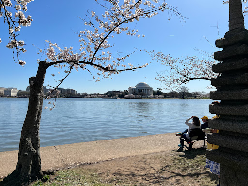 Memorial Park «Franklin Delano Roosevelt Memorial», reviews and photos