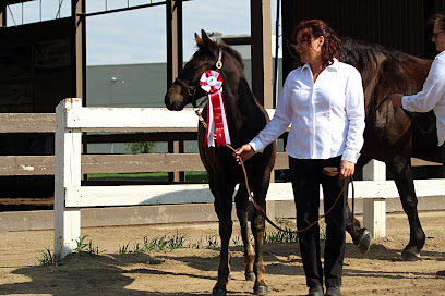 Maple Farm Horses