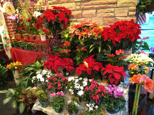 Florist «Sunshine Florist Inc.», reviews and photos, 946 1st Avenue, New York, NY 10022, USA