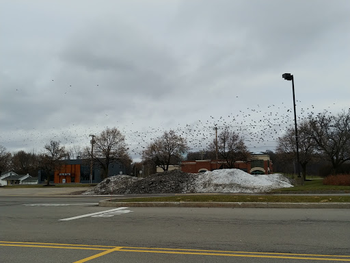 Pet Supply Store «Pet Supplies Plus», reviews and photos, 2157 Penfield Rd, Penfield, NY 14526, USA