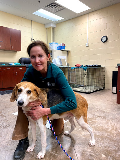 Olde Towne Equine - Dr. Kate Moga DVM, ACCC/AVCA image