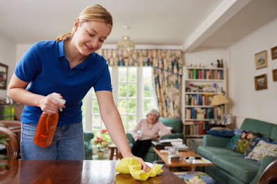 ULTRA CLEAN SERVICE : Ménage et Repassage à domicile à La Seyne-sur-Mer