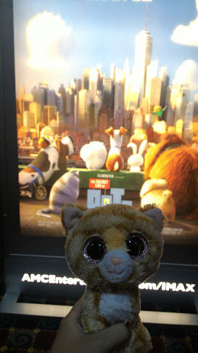 Movie Theater «AMC Barrett Commons 24», reviews and photos, 2600 Cobb Pl Ln NW, Kennesaw, GA 30144, USA