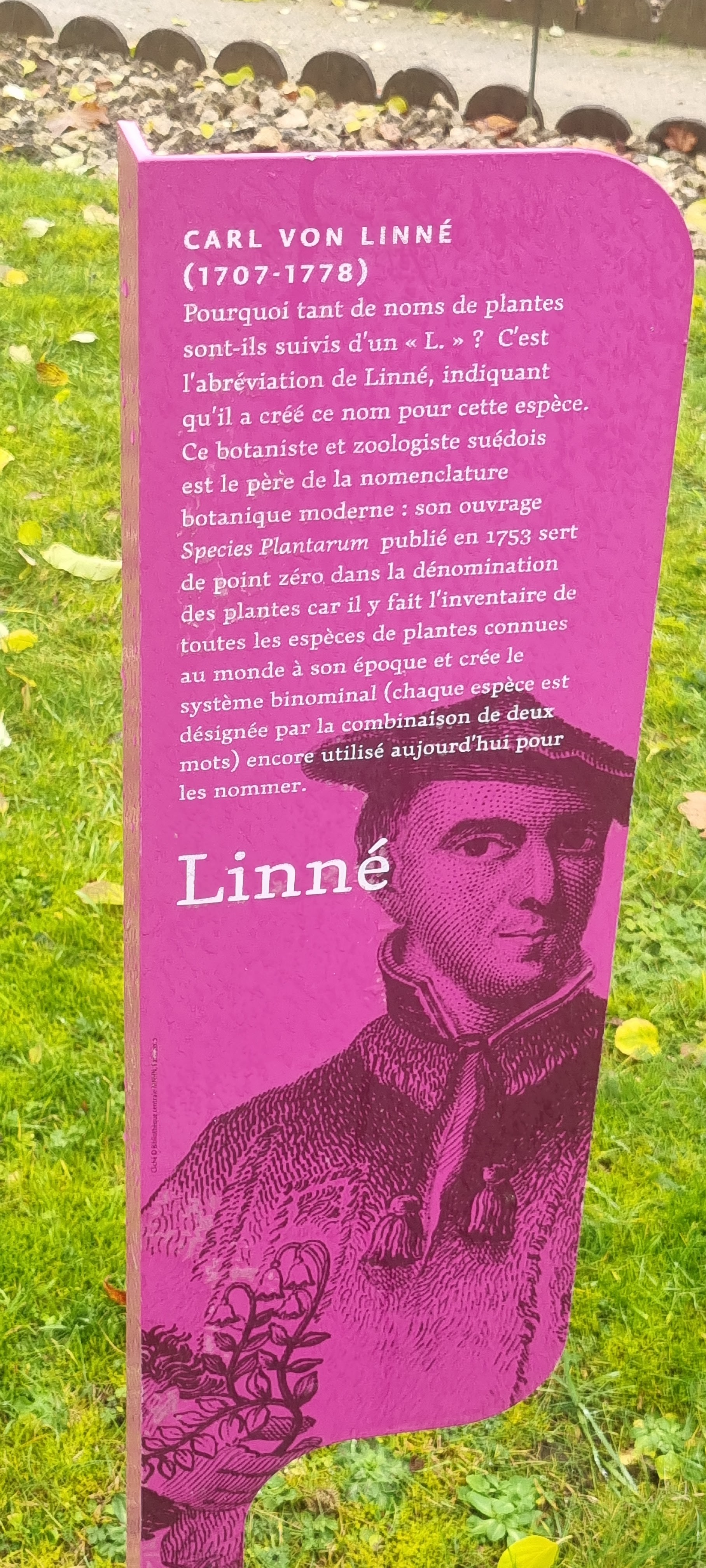 Photo n° 15 de l'avis de ma.i fait le 11/12/2023 à 14:17