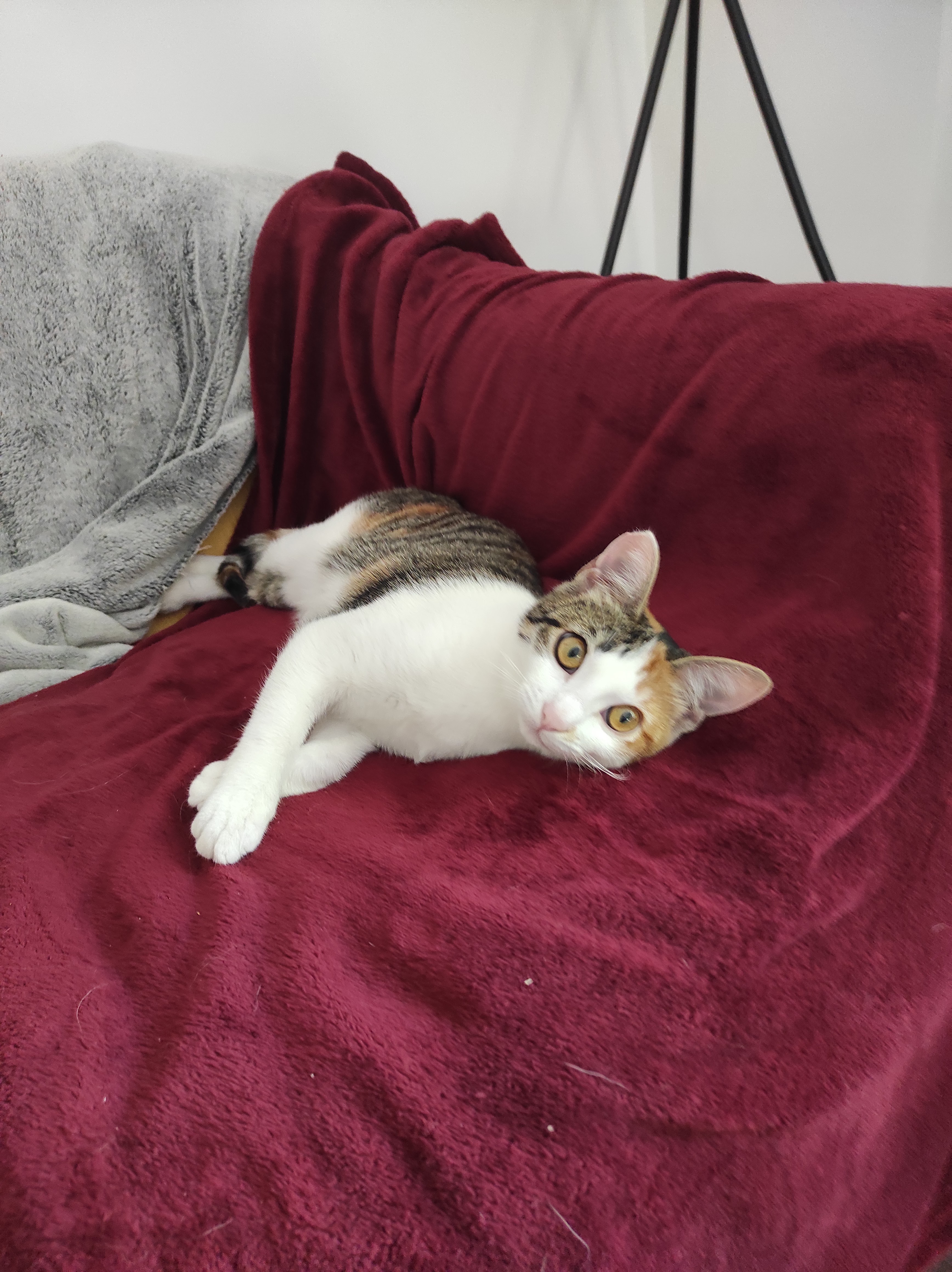 Photo n° 1 de l'avis de Elodie.l fait le 30/05/2021 à 19:32