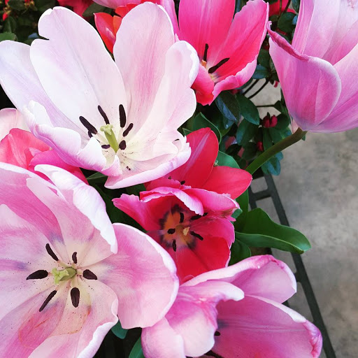 Limerick Hardware Company, 712 W Ridge Pike, Limerick, PA 19468, USA, 