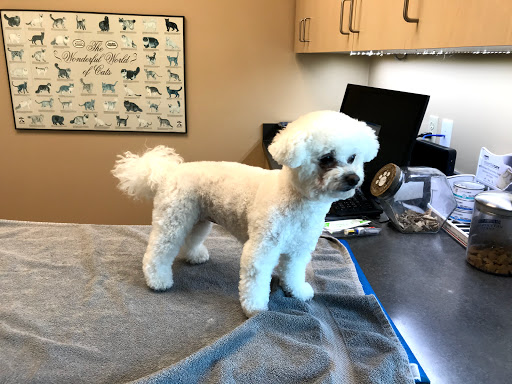 VCA Canada Mills Haven Animal Hospital image