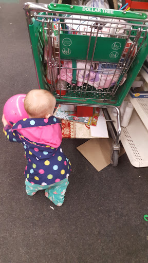 Dollar Store «Dollar Tree», reviews and photos, 4350 Central Ave NE, Columbia Heights, MN 55421, USA