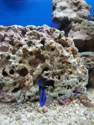 Pet Supply Store «Petco Animal Supplies», reviews and photos, 10 Sylvan St, Peabody, MA 01960, USA