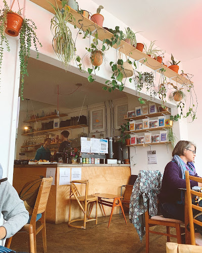 Albatross Café - Coffee shop