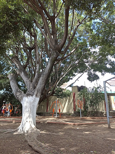 Parque San Pedrito