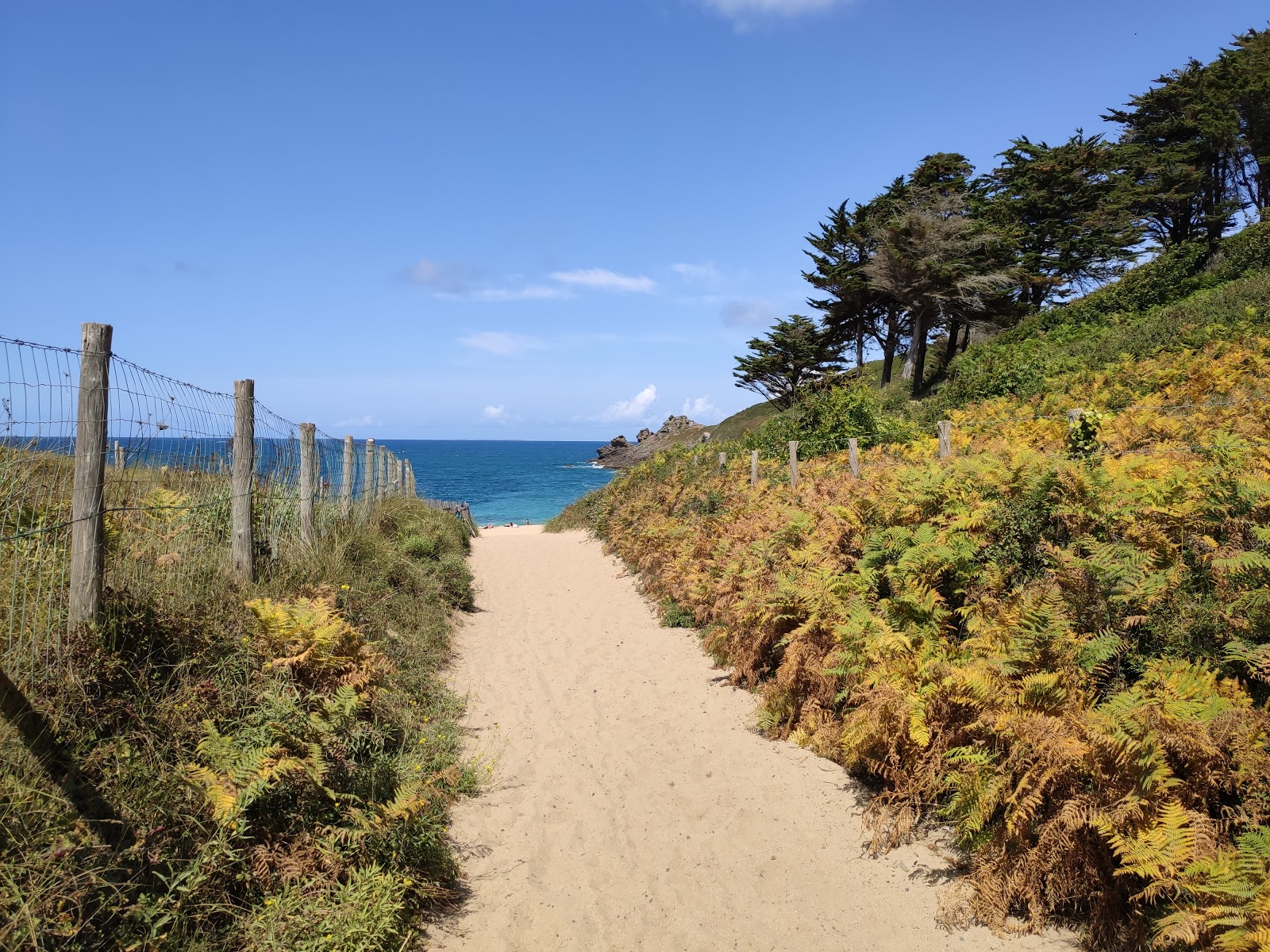 Foto di Plage de la Touesse - luogo popolare tra gli intenditori del relax