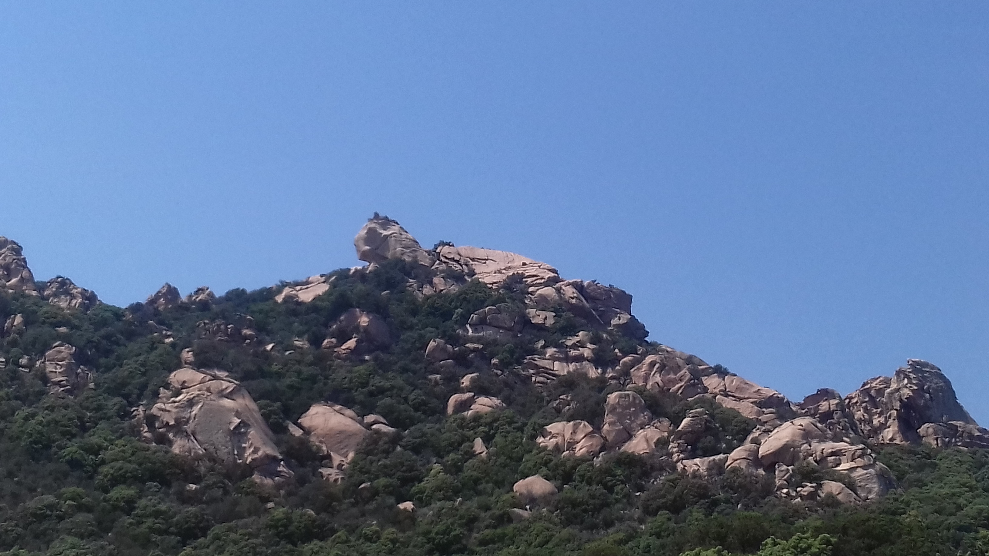 Photo n° 2 de l'avis de Christine.u fait le 10/07/2018 à 15:15