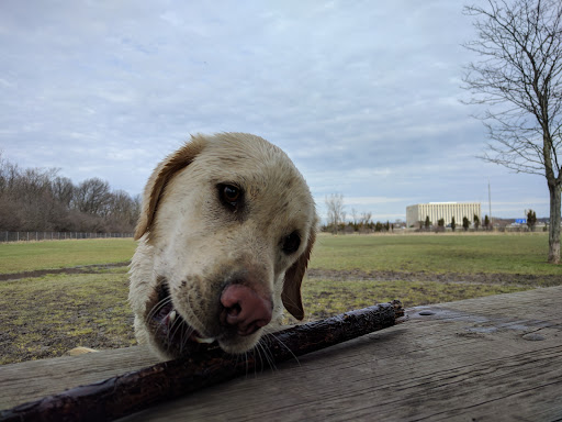 Dog Park «Beck Lake Off-Leash Dog Area», reviews and photos, 9700 Gloria Ct, Glenview, IL 60025, USA