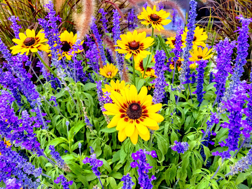 Movie Theater «Cinemark Fort Collins», reviews and photos, 4721 S Timberline Rd, Fort Collins, CO 80525, USA
