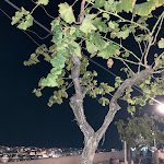 Photo n°1 de l'avis de Barbara.o fait le 07/08/2023 à 20:03 sur le  Skafè La Locanda à Otranto