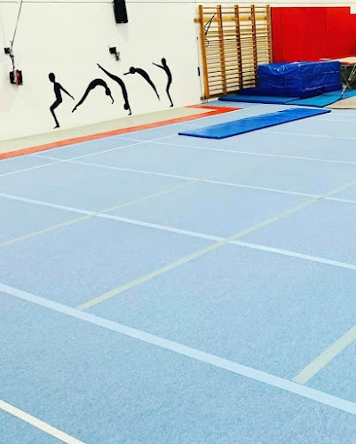 Wrexham Gymnastics Club - Gym
