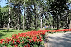 Park Vidpochynku Im. Pysarzhevsʹkoho image