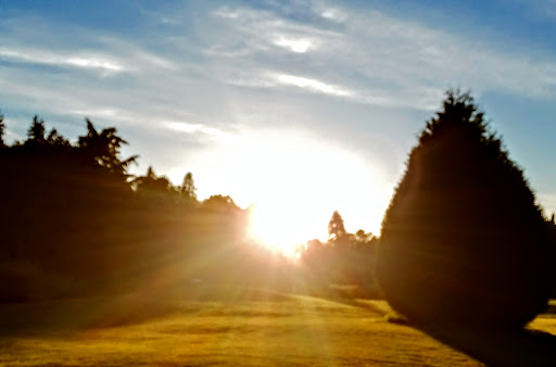 Golf Course «Wayne Public Golf Course», reviews and photos, 16721 96th Ave NE, Bothell, WA 98011, USA