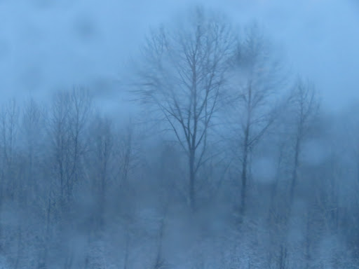 Tourist Attraction «Museum and Event Grounds for Mt. Rainier Railroad and Logging Museum», reviews and photos, 349 Mineral Creek Rd S, Mineral, WA 98355, USA