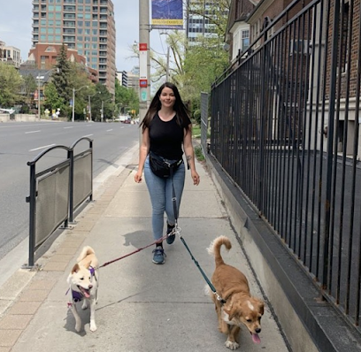 Bark Buddies Toronto | Dog Walker Midtown Toronto