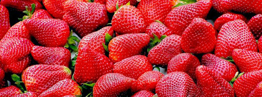 Grocery Store «Cash Saver Food Outlet», reviews and photos, 1320 E Euclid Ave, Des Moines, IA 50313, USA