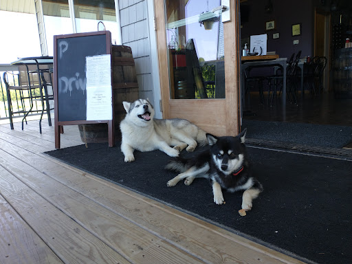 Winery «Five Sons Winery/RG Brewery», reviews and photos, 1360 W Sweden Rd, Brockport, NY 14420, USA