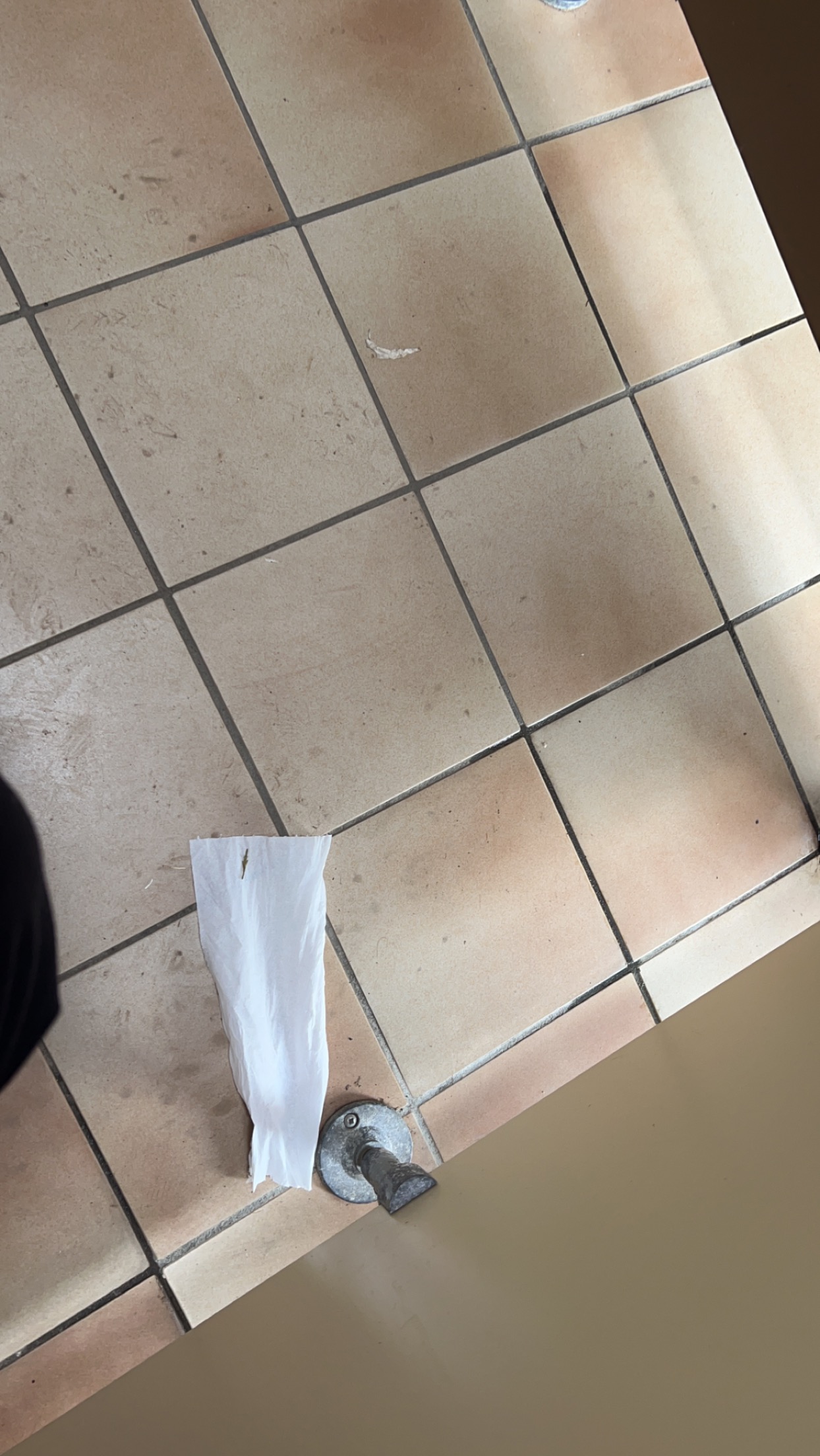 Photo n° 3 de l'avis de Amélia.m fait le 30/08/2023 à 09:41