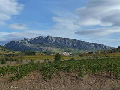 Site d'Escalade de Vingrau (Lloc d'escalada de Vingrau) à Vingrau
